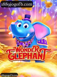 WonderElephant